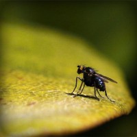 /album/pergoldsite/photolia-a07-jpg/